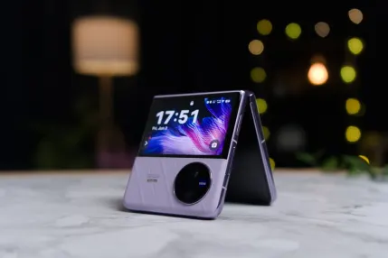 Casino Jungle Raja Mobilna aplikacija